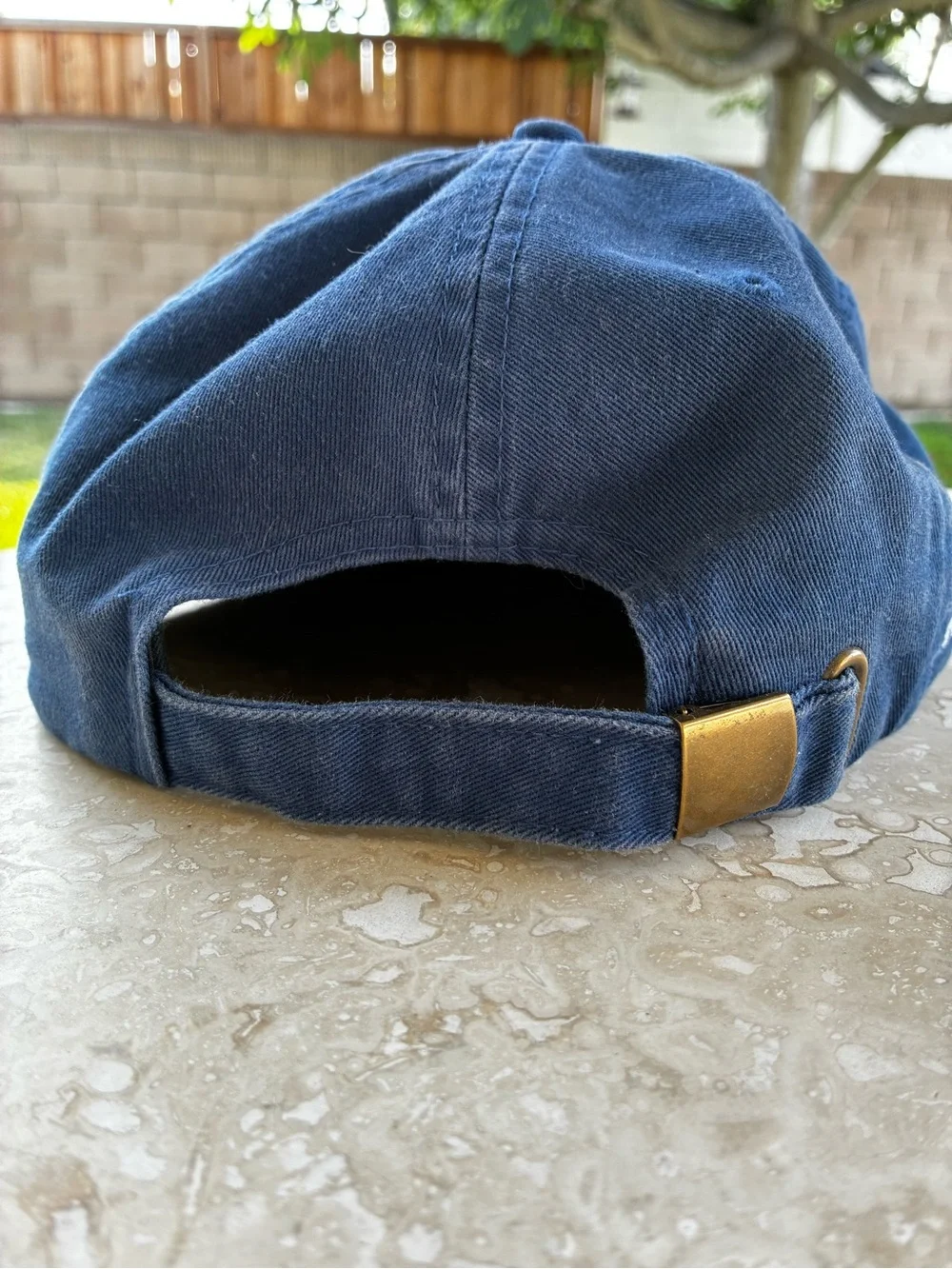 Parks Project Dad Hat